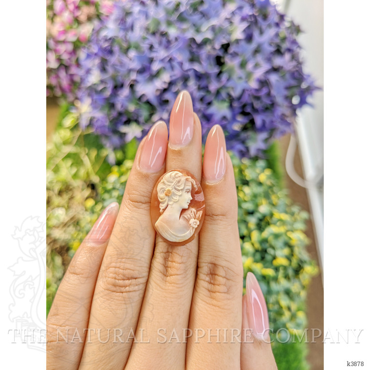 12.68 Ct. Coral from Italy