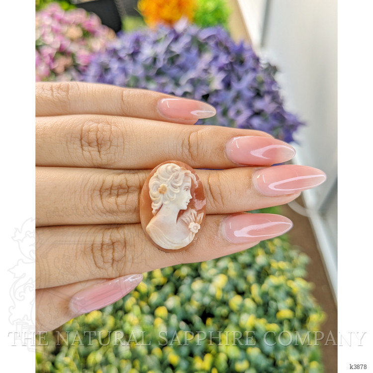 12.68 Ct. Coral from Italy