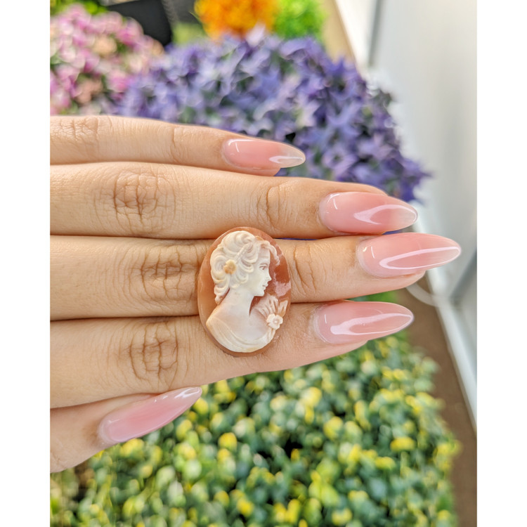 12.68 Ct. Coral from Italy