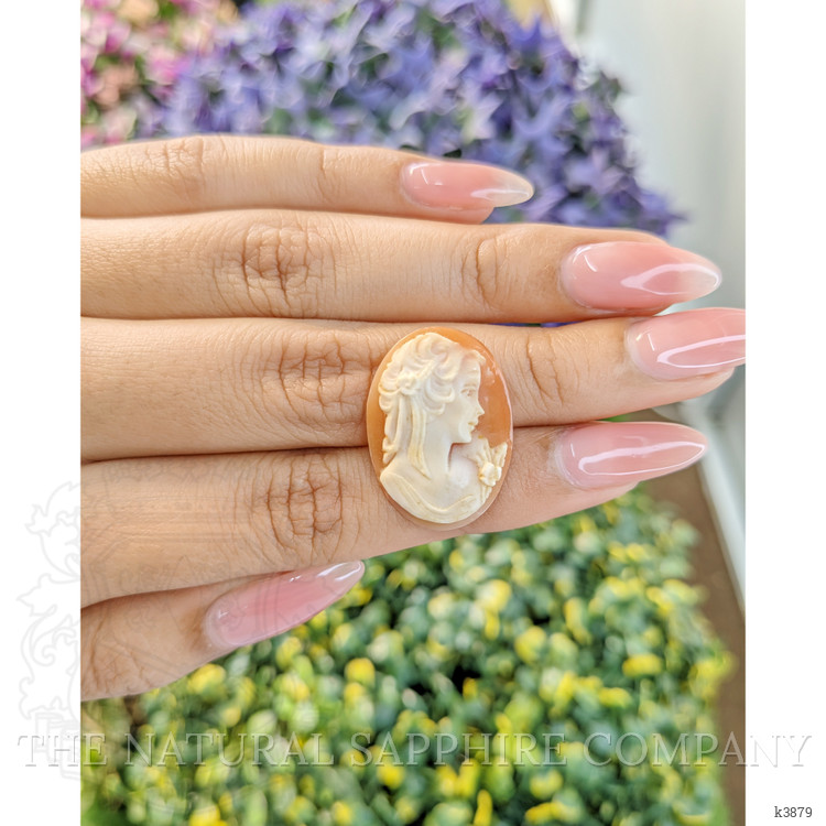 10.87 Ct. Coral from Italy