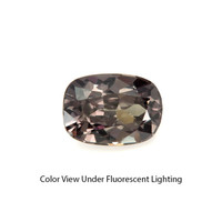 0.84 Ct. Garnet from Ceylon (Sri Lanka) Video