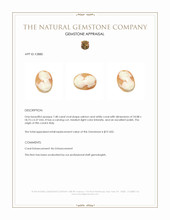 7.48 Ct. Coral from Italy Appraisal