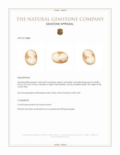 7.48 Ct. Coral from Italy Appraisal