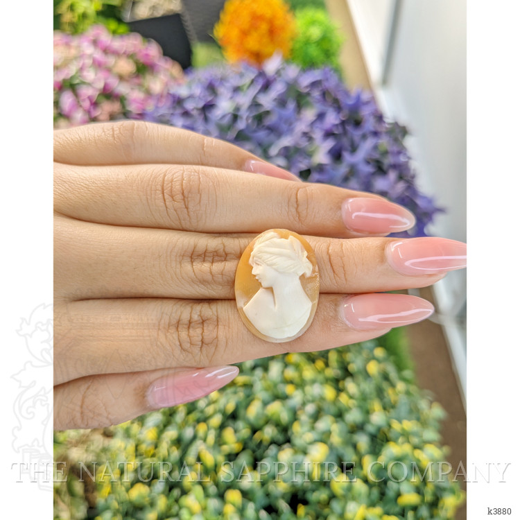 7.48 Ct. Coral from Italy