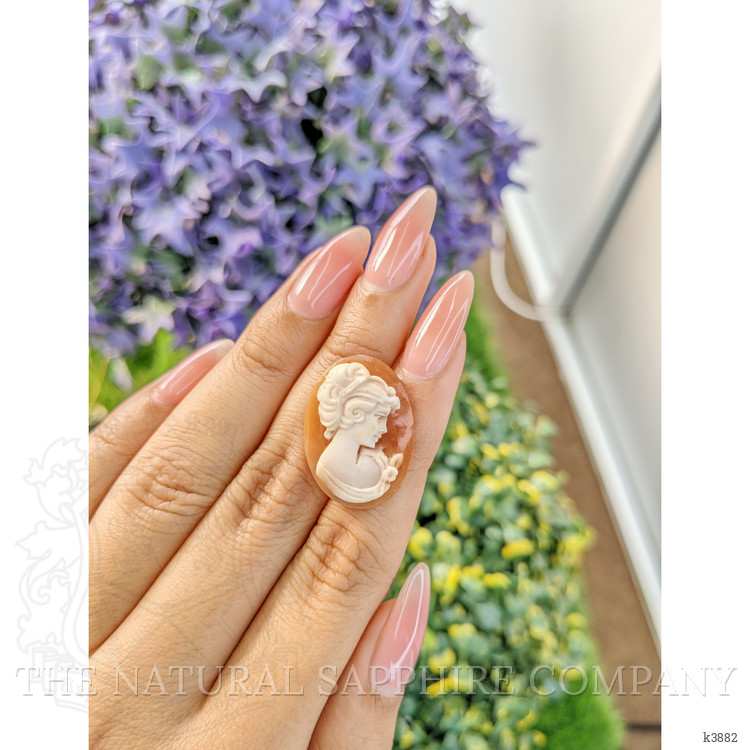 10.82 Ct. Coral from Italy