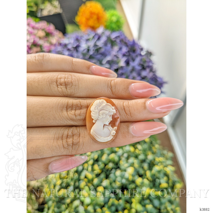 10.82 Ct. Coral from Italy