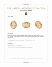 7.49 Ct. Coral from Italy Appraisal