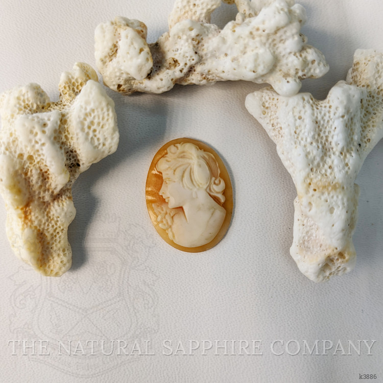 7.49 Ct. Coral from Italy