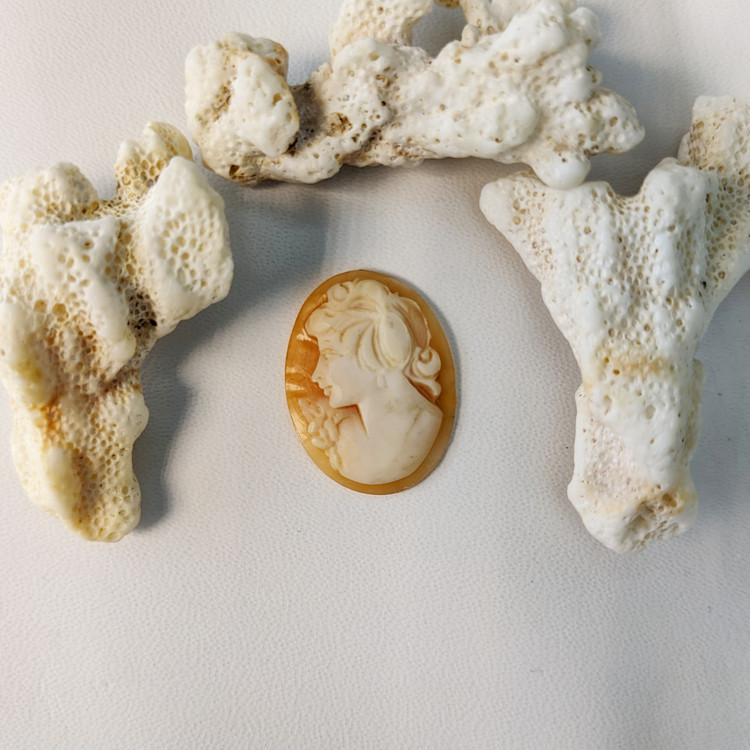 7.49 Ct. Coral from Italy