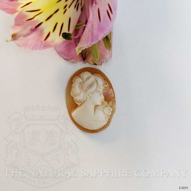 9.38 Ct. Coral from Italy