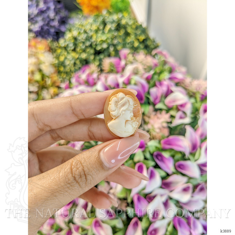 9.38 Ct. Coral from Italy