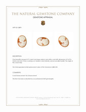 8.75 Ct. Coral from Italy Appraisal