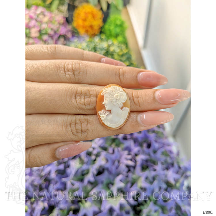 8.75 Ct. Coral from Italy