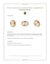 11.20 Ct. Coral from Italy Appraisal