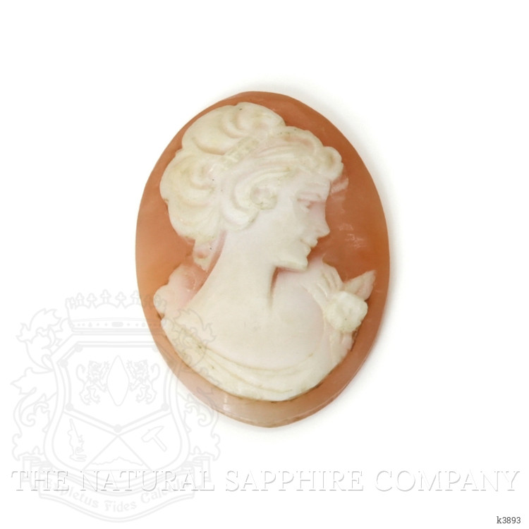 11.20 Ct. Coral from Italy