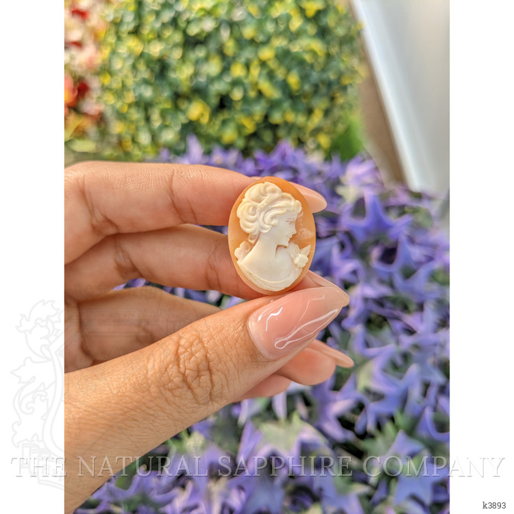 11.20 Ct. Coral from Italy