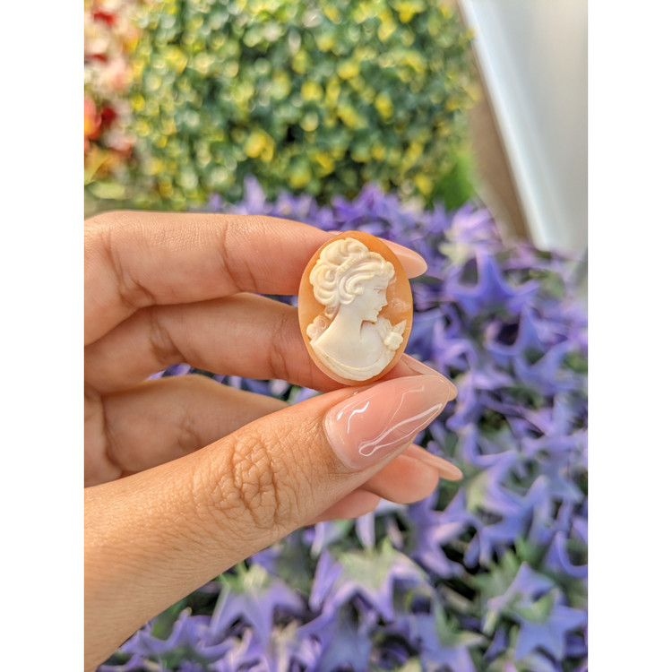 11.20 Ct. Coral from Italy