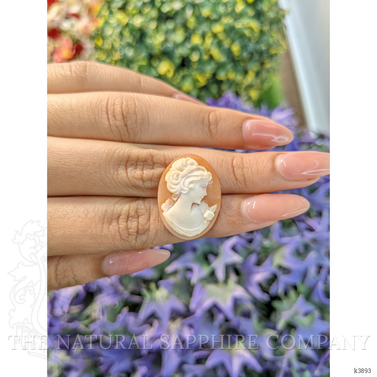 11.20 Ct. Coral from Italy