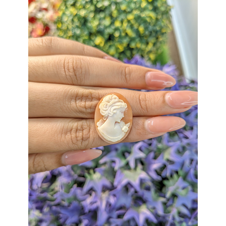 11.20 Ct. Coral from Italy