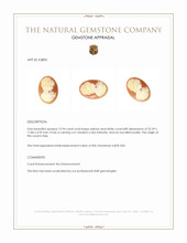 12.94 Ct. Coral from Italy Appraisal