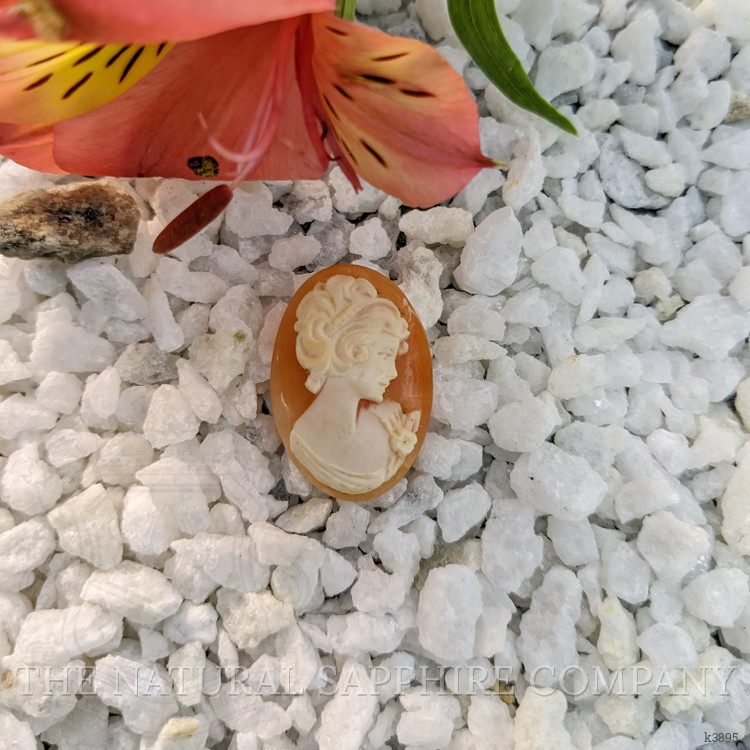 12.94 Ct. Coral from Italy