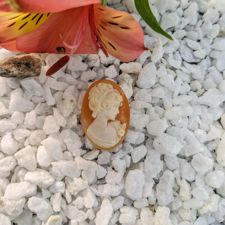 12.94 Ct. Coral from Italy