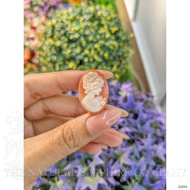 12.94 Ct. Coral from Italy