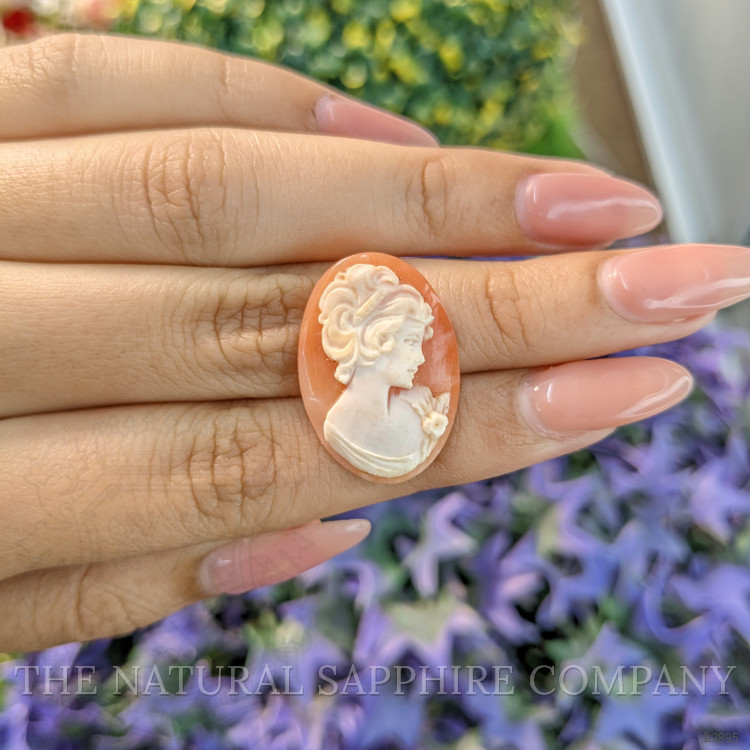 12.94 Ct. Coral from Italy