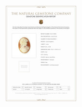 10.38 Ct. Coral from Italy Scan Report