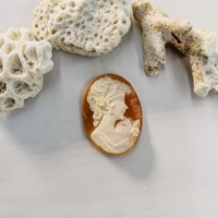 10.38 Ct. Coral from Italy Life Style