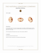 11.07 Ct. Coral from Italy Appraisal