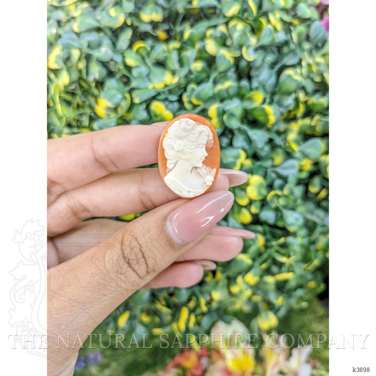 11.07 Ct. Coral from Italy