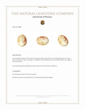 9.00 Ct. Coral from Italy Appraisal