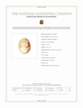 9.00 Ct. Coral from Italy Scan Report