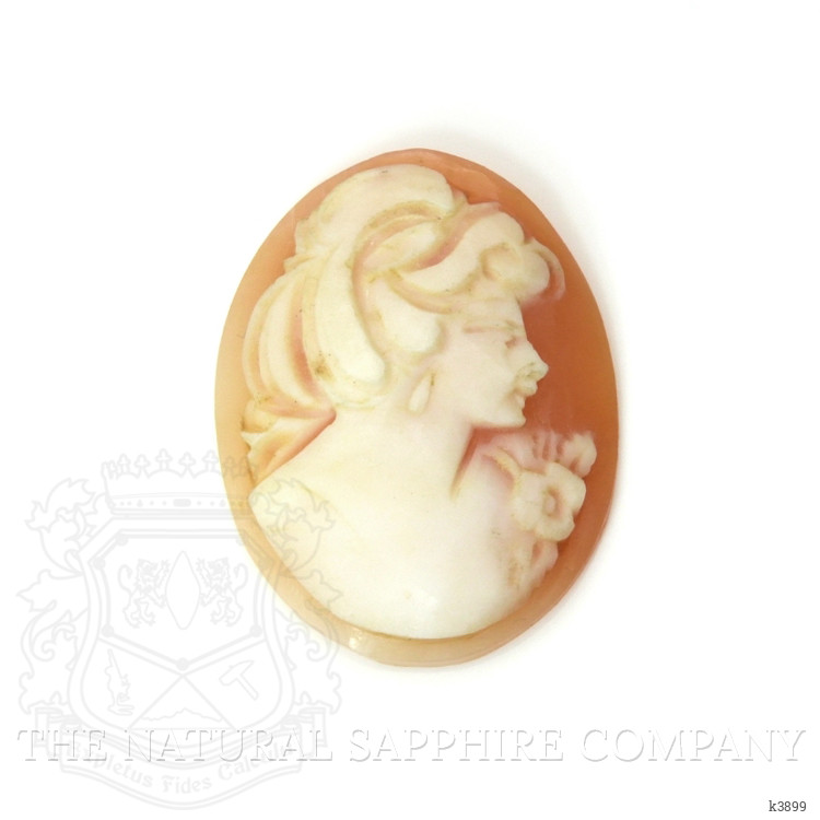 9.00 Ct. Coral from Italy