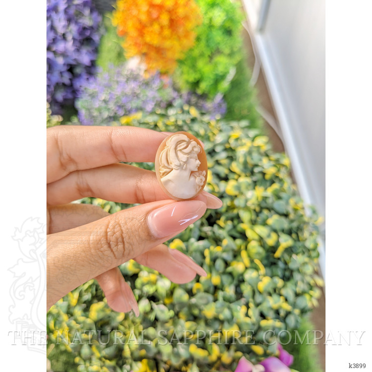 9.00 Ct. Coral from Italy