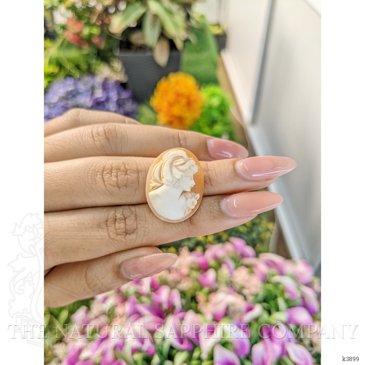 9.00 Ct. Coral from Italy