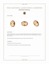 13.51 Ct. Coral from Italy Appraisal