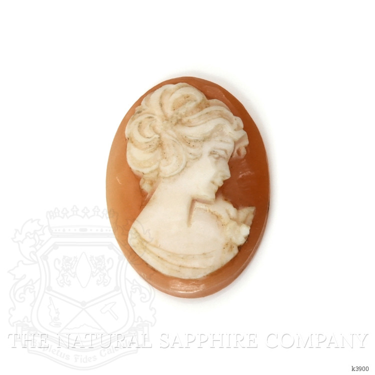 13.51 Ct. Coral from Italy