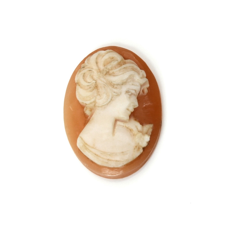 13.51 Ct. Coral from Italy