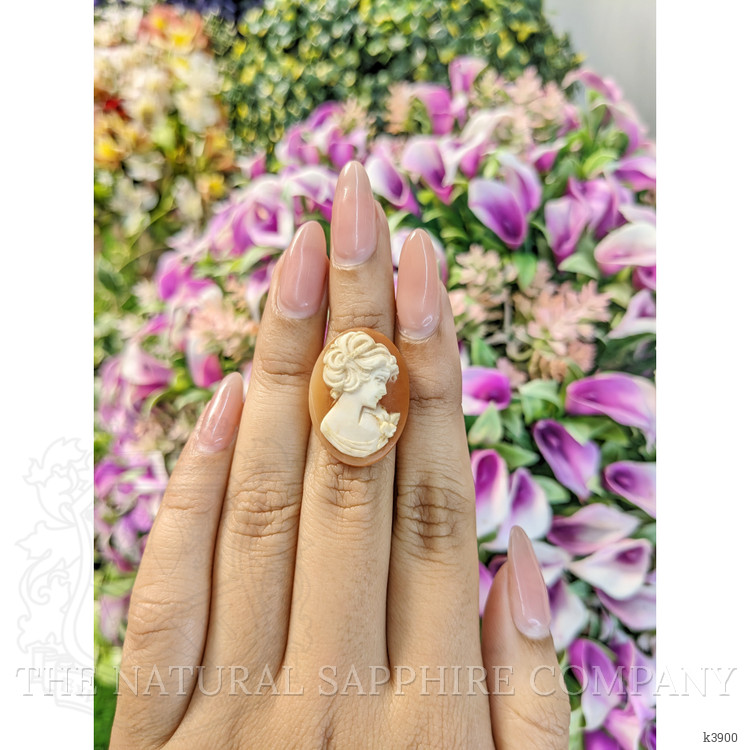13.51 Ct. Coral from Italy
