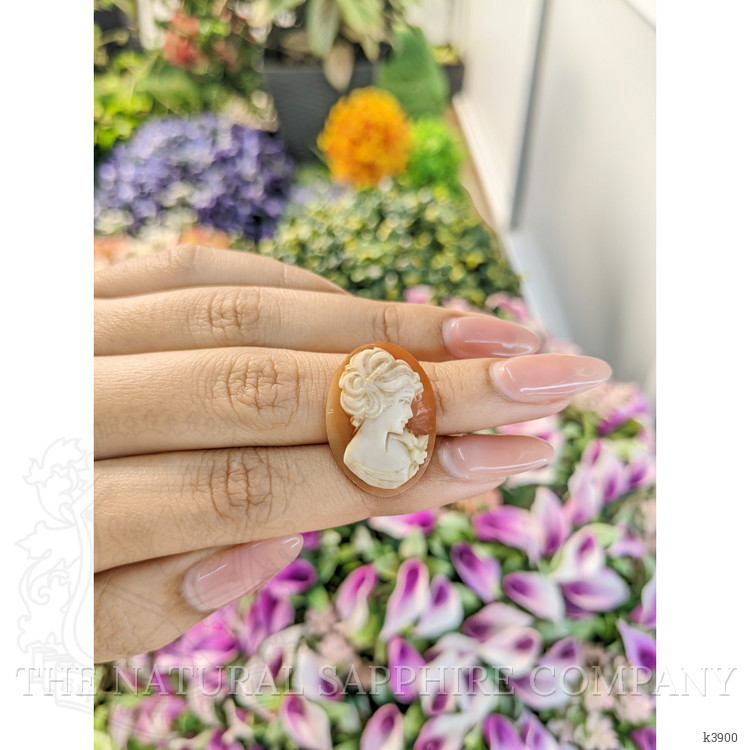 13.51 Ct. Coral from Italy