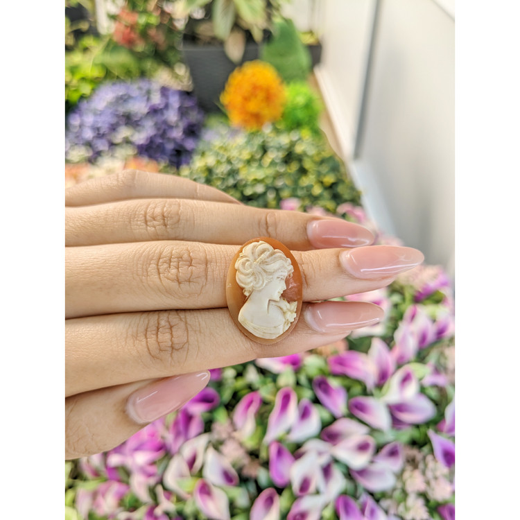 13.51 Ct. Coral from Italy