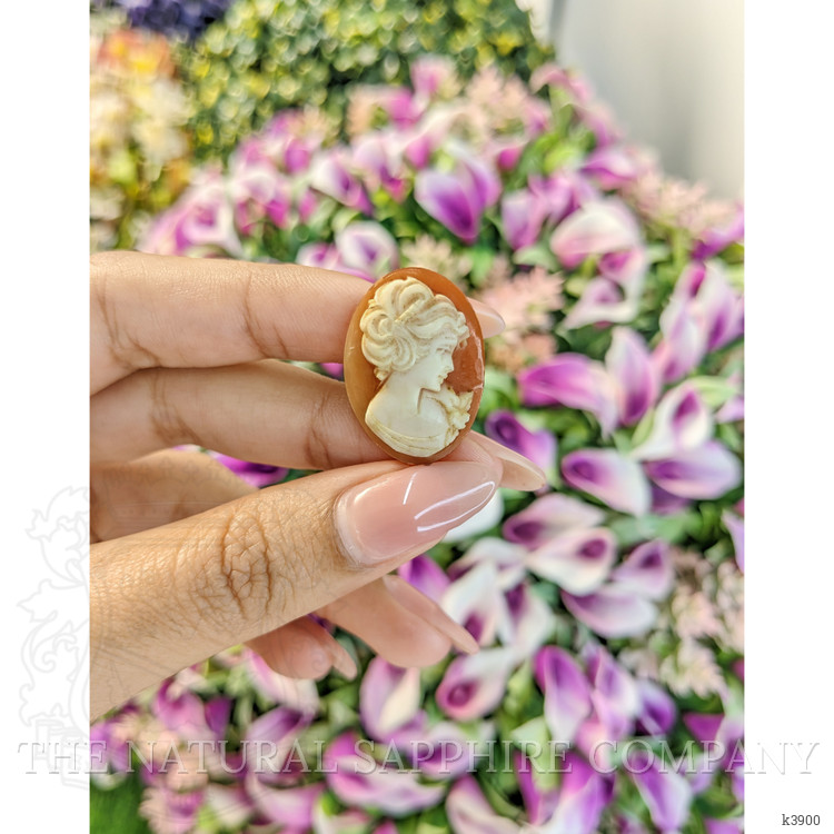 13.51 Ct. Coral from Italy