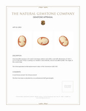 6.54 Ct. Coral from Italy Appraisal