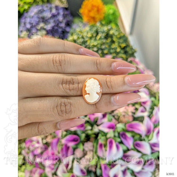 6.54 Ct. Coral from Italy