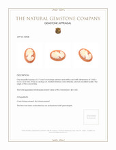 3.17 Ct. Coral from Italy Appraisal