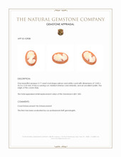 3.17 Ct. Coral from Italy Appraisal