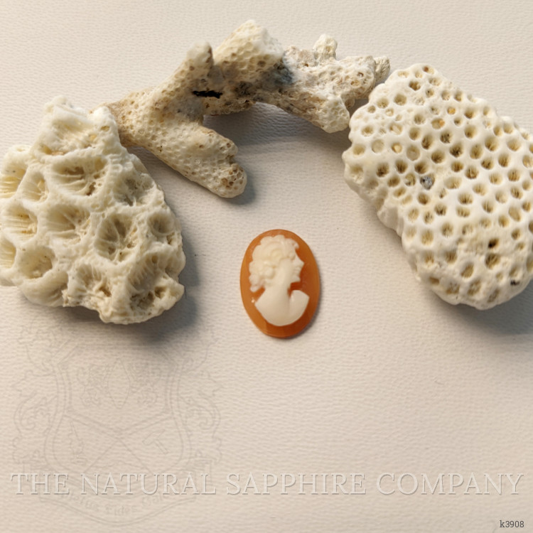 3.17 Ct. Coral from Italy