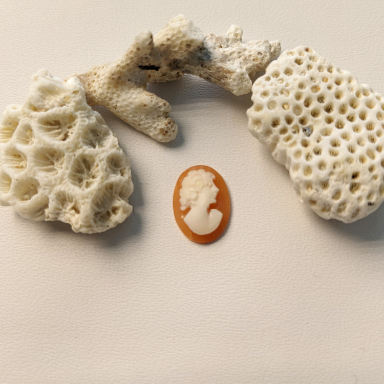 3.17 Ct. Coral from Italy